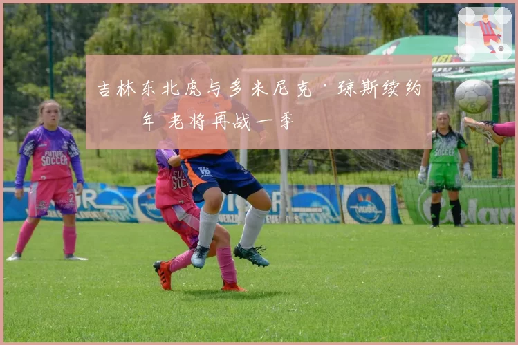 吉林东北虎与多米尼克·琼斯续约一年 老将再战一季