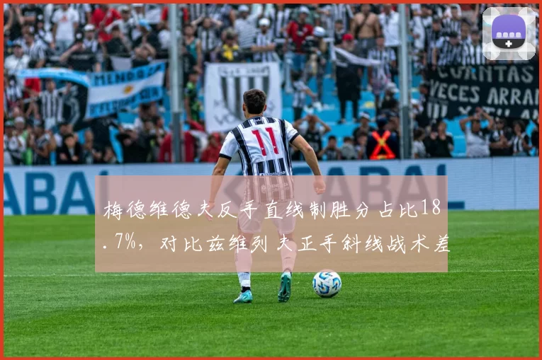 梅德维德夫反手直线制胜分占比18.7%，对比兹维列夫正手斜线战术差异显著