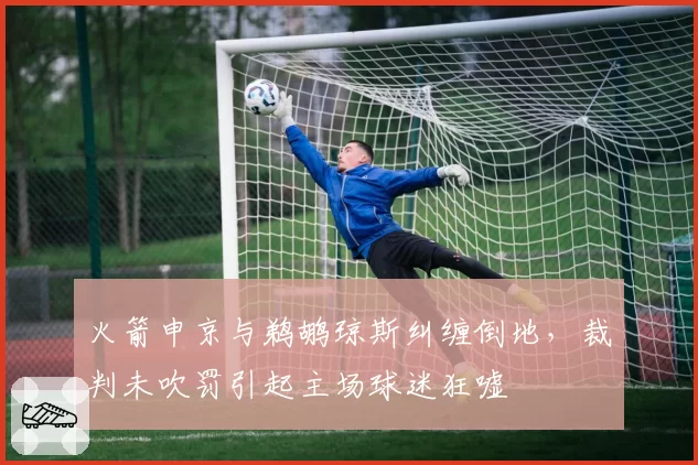 火箭申京与鹈鹕琼斯纠缠倒地，裁判未吹罚引起主场球迷狂嘘